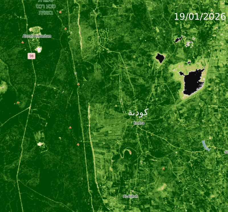 We Lost Everything In Syria: How Israeli Herbicides Destroyed Quneitra Crops And Pastures 46 A comparison of NDVI images of the Kudna area from January 19 and February 18, 2026 show a striking change in lands west of the village. This area has turned from dark green—reflecting healthy plant activity—to light green, indicating a sharp decrease in vegetation density.